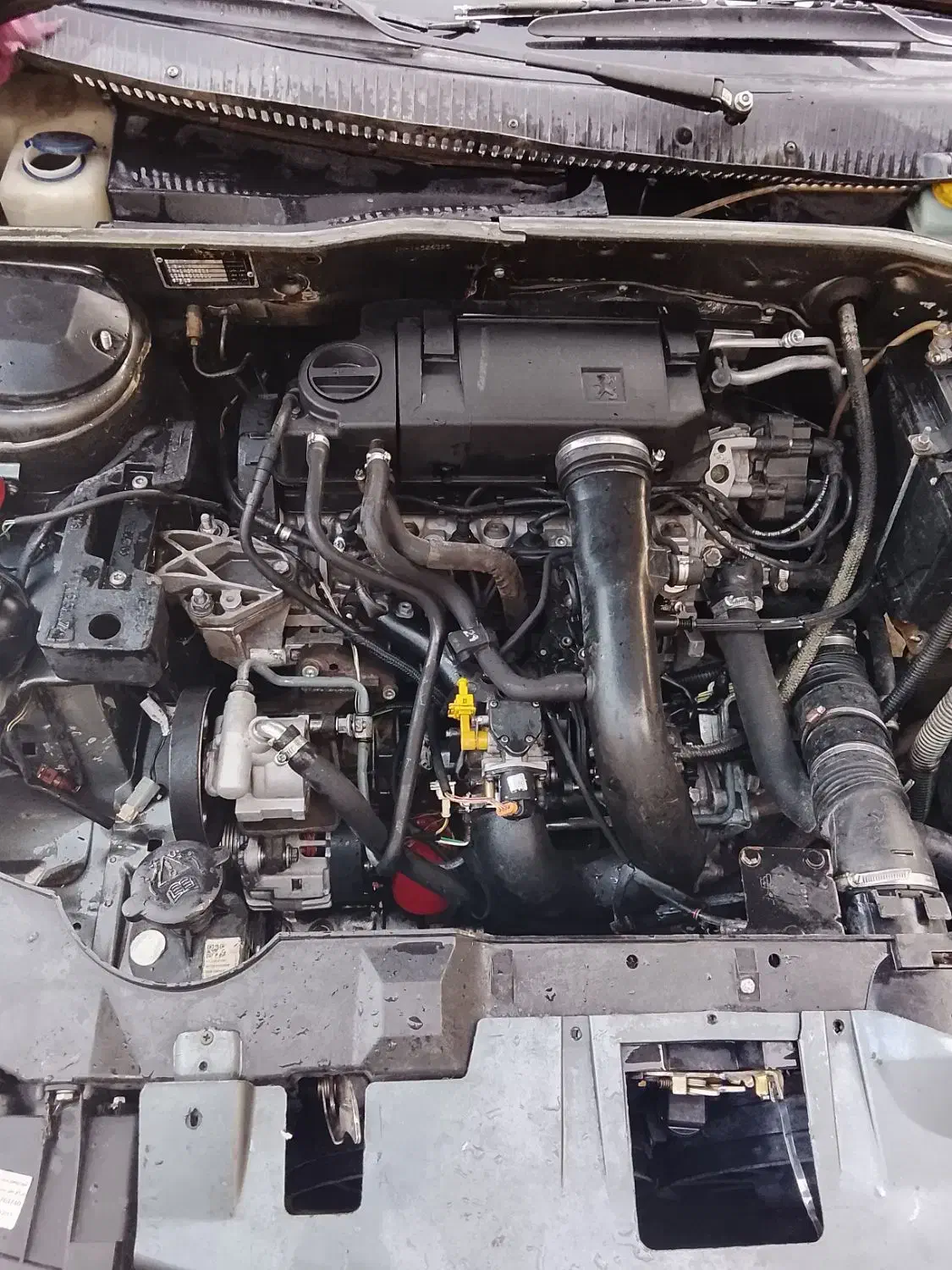 سمند تر تمیز|خودرو سواری و وانت|زاهدان, |دیوار