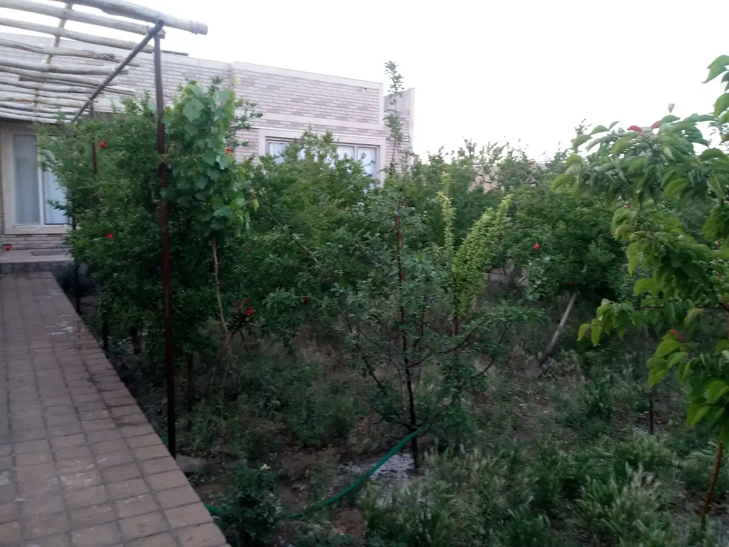 اجاره خانه باغ مهریز|اجارهٔ کوتاهمدت ویلا و باغ|یزد, |دیوار