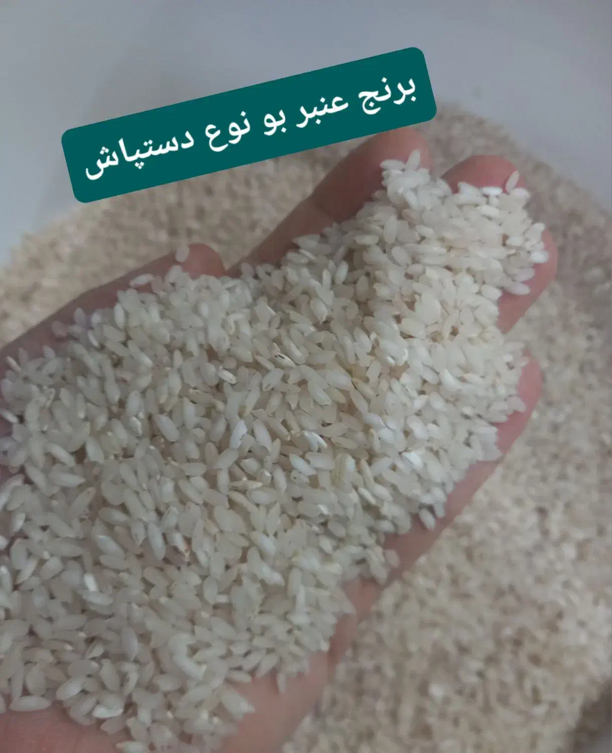 برنج عنبربو درجه 1 در 2 نوع عالی.|خوردنی و آشامیدنی|شوشتر, |دیوار