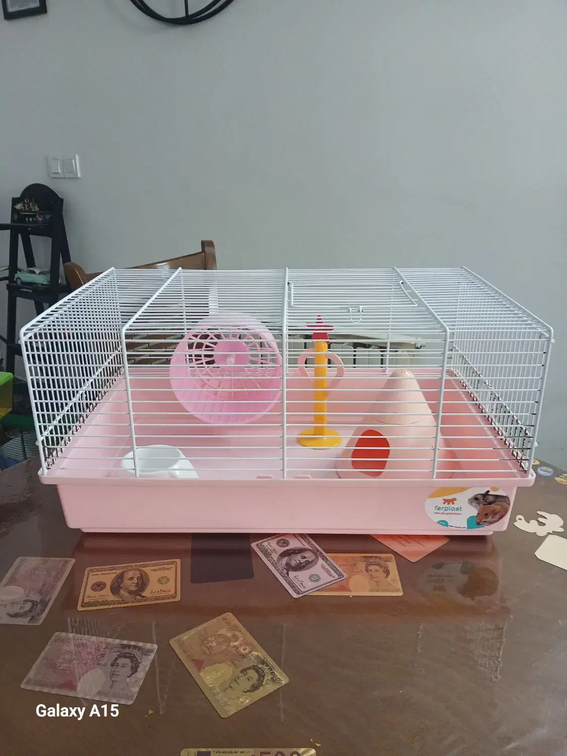 قفس خرگوش وهمستر|لوازم جانبی حیوانات|تهران, سازمان برنامه جنوبی|دیوار