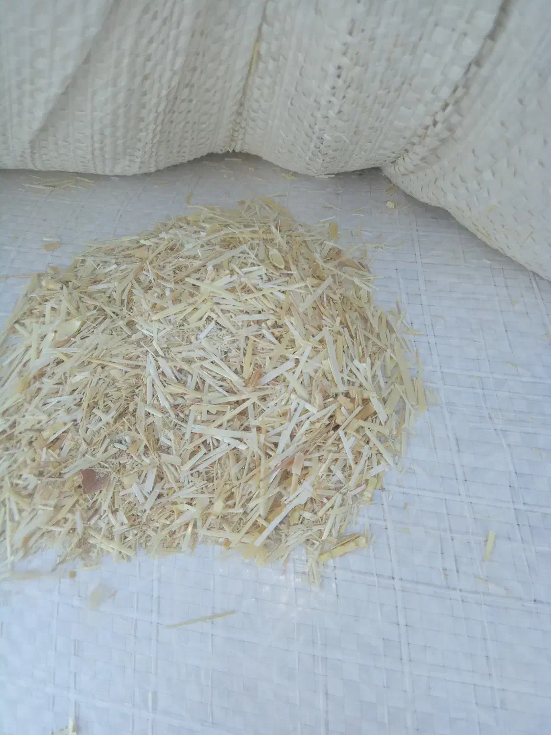 کاه گندم دیمه|عمدهفروشی|باخزر, |دیوار