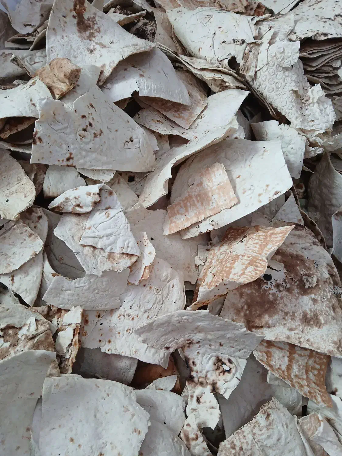 نان خشک|حیوانات مزرعه|خمام, |دیوار