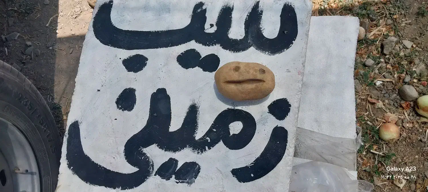 کارگر ساده میوه فروشی|استخدام خدمات فروشگاه و رستوران|گلمکان, |دیوار