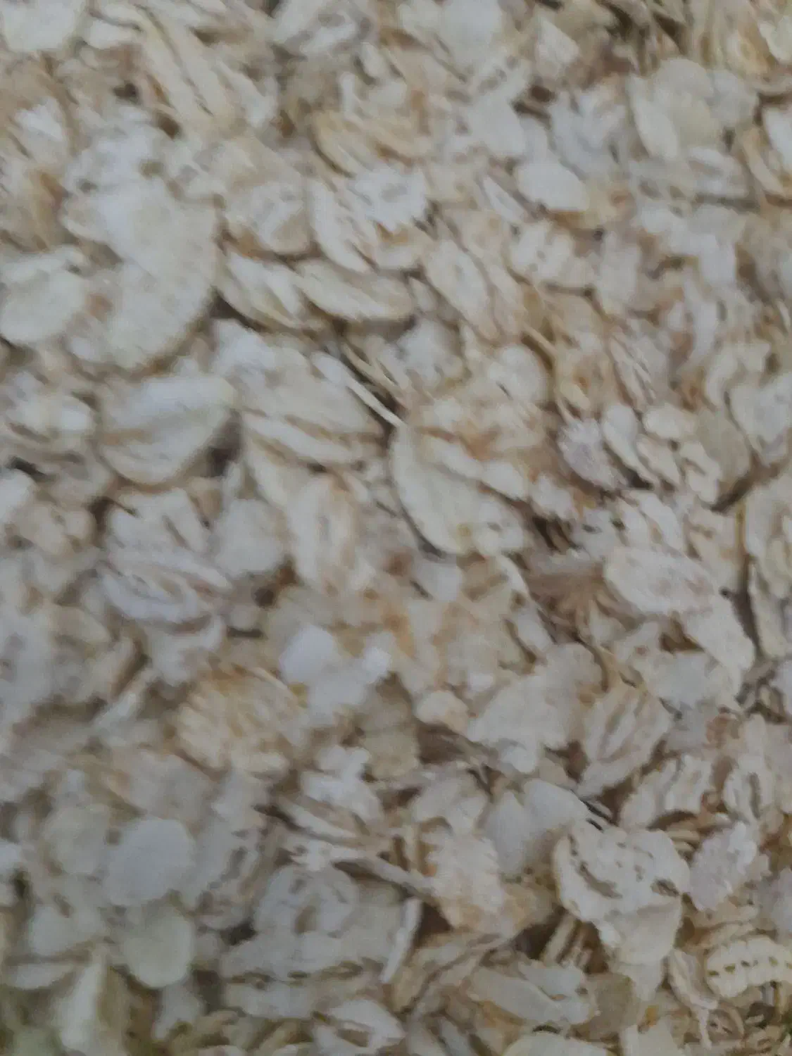 خرید و فروش انواع حبوبات|خوردنی و آشامیدنی|بابا حیدر, |دیوار