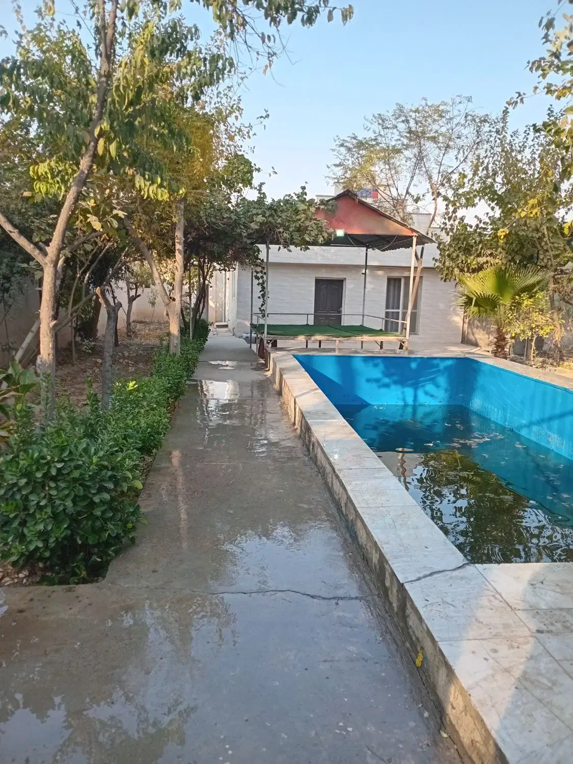 اجاره روزانه باغچه|اجارهٔ کوتاهمدت ویلا و باغ|پاکدشت, پاکدشت (مامازند)|دیوار