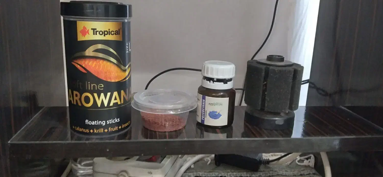 ال ای دی،فیلتر داخلی،استیک،ویبرابایت،فیکوسیانین|ماهی|مشهد, انقلاب|دیوار