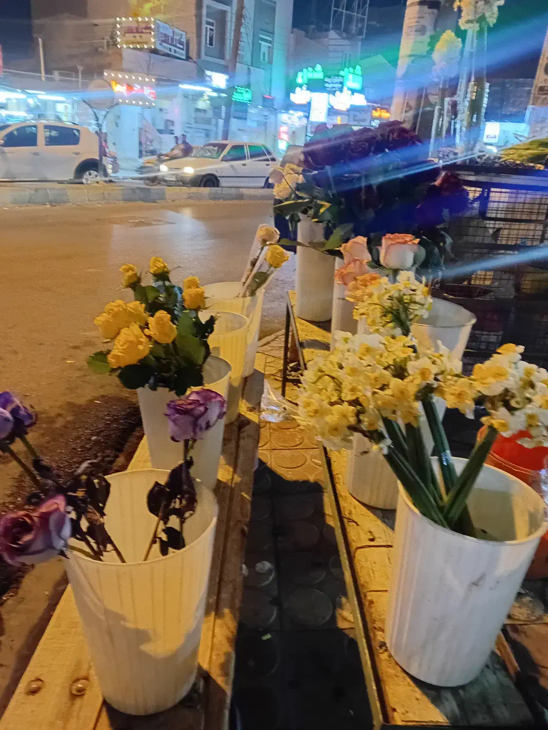 گل رزونرگس گل مریم گل کلایل|گل و گیاه طبیعی|بهبهان, |دیوار