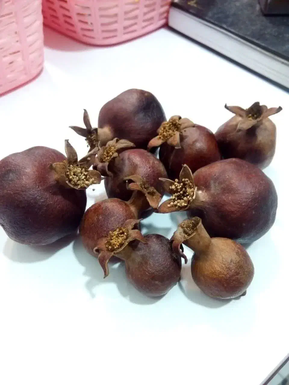 انار طبیعی خشک تزئینی|صنایع دستی و سایر لوازم تزئینی|مشهد, رده|دیوار