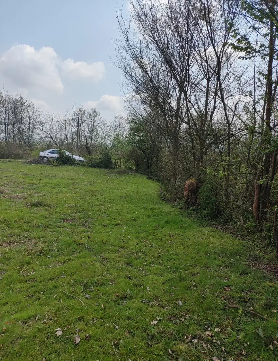 300مترزمین مسکونی دونبش سیاهکل محله|فروش زمین و ملک کلنگی|سیاهکل, |دیوار