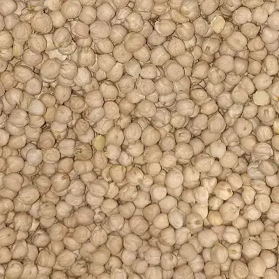 حبوبات ، نخود ، عدس ، لوبیا چیتی هندی|خوردنی و آشامیدنی|تربتحیدریه, آغوی|دیوار