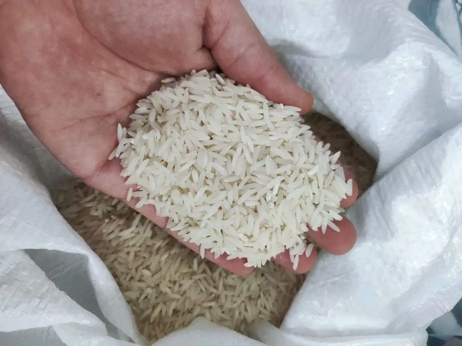 برنج ایرانی|خوردنی و آشامیدنی|سبزوار, رضوان|دیوار