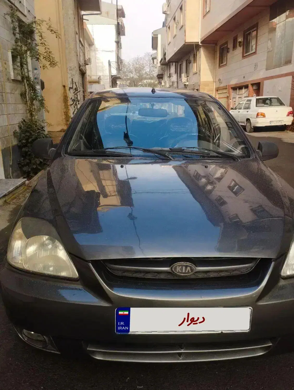 ریو مدل ۸۴ سالم|خودرو سواری و وانت|رشت, منظریه|دیوار