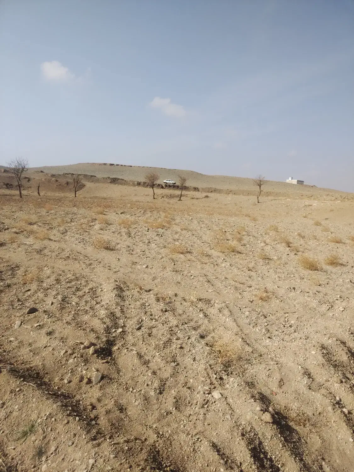 فروش زمین|فروش زمین و ملک کلنگی|تربتحیدریه, بالا ولایت|دیوار