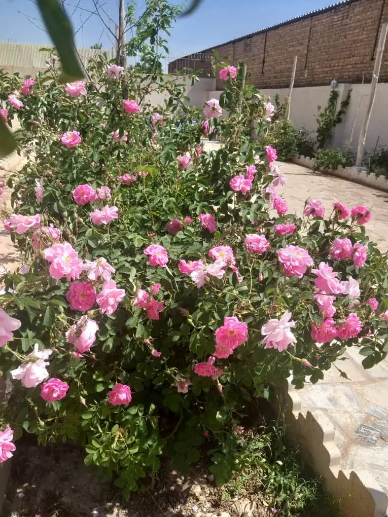 فروش خانه ویلاشیک|فروش خانه و ویلا|رضویه, |دیوار