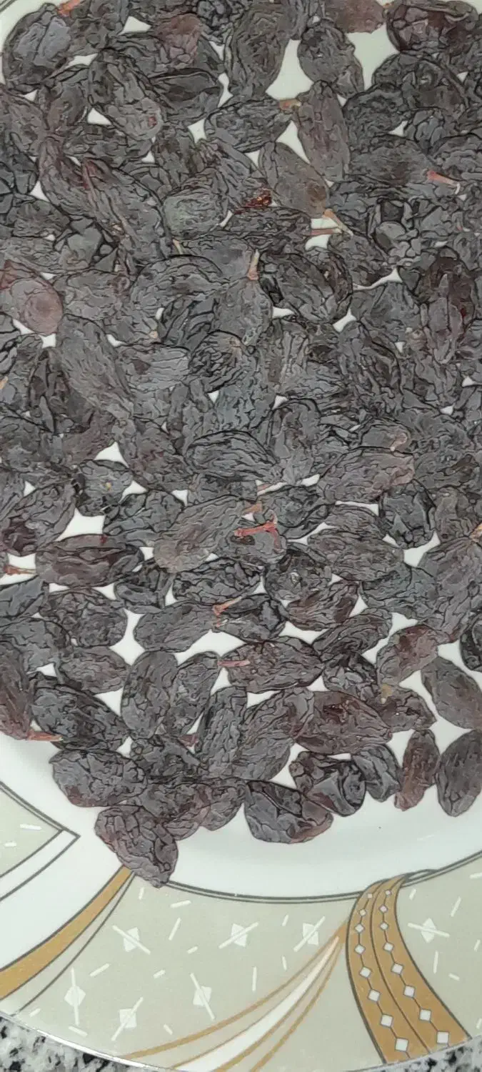 مویز برا تقویت حافظه|خوردنی و آشامیدنی|افشار, |دیوار