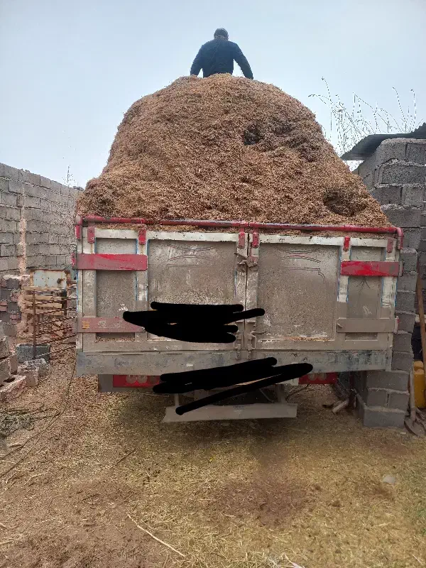 کاه|لوازم جانبی حیوانات|رفسنجان, |دیوار