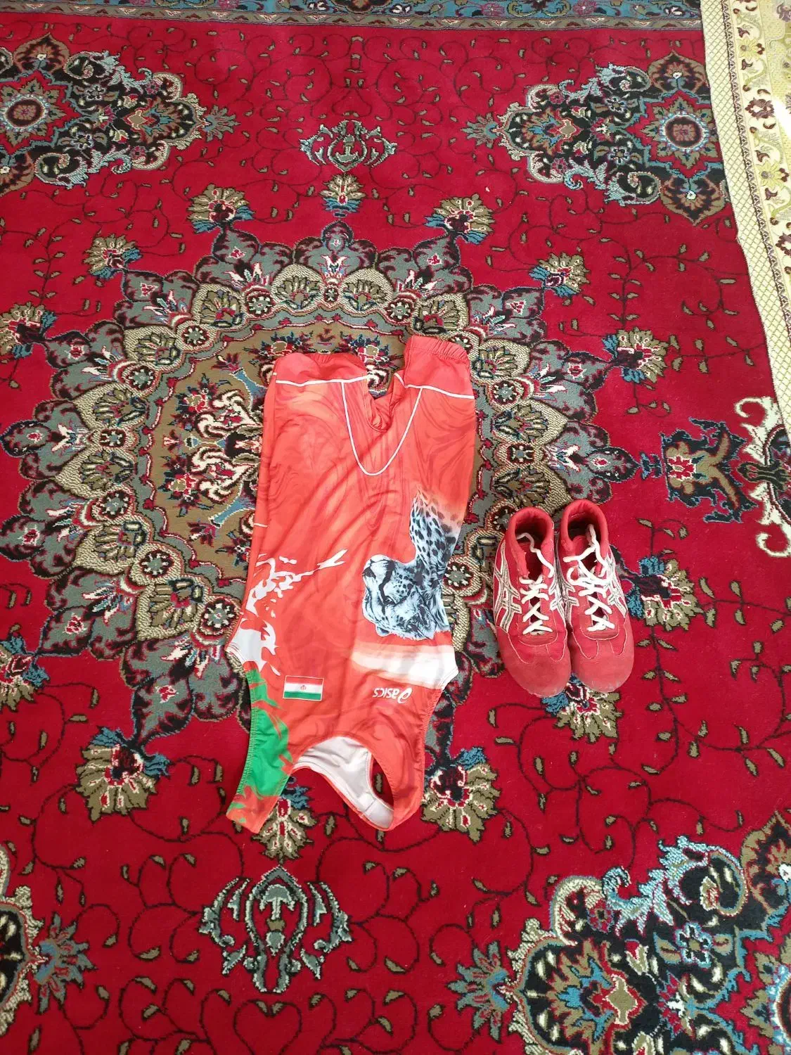 دوبنده کشتی|تجهیزات ورزشی|اردبیل, |دیوار