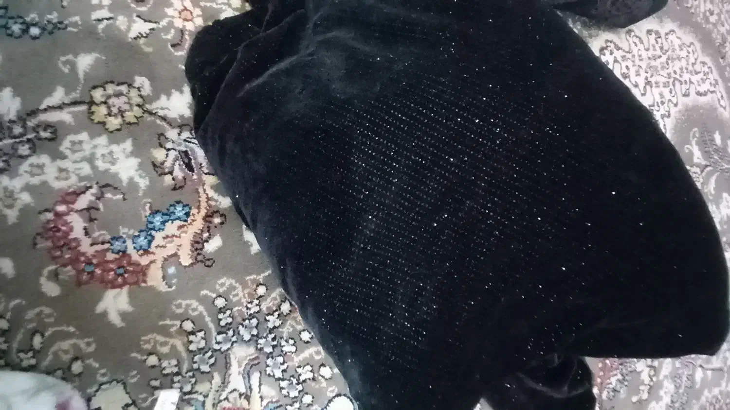 چادر مجلسی|لباس|زابل, |دیوار