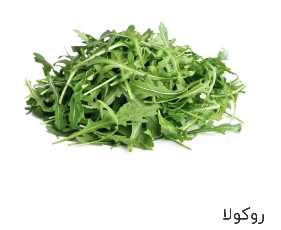 سبزی خارجی و کالاهای فرش|خوردنی و آشامیدنی|تهران, مرزداران|دیوار