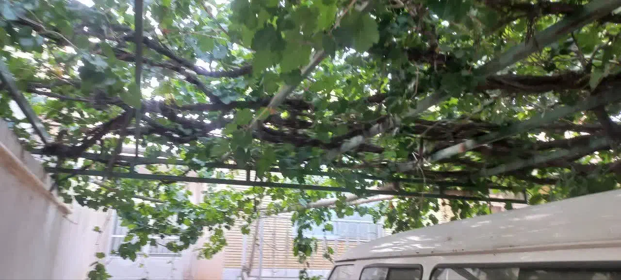 ویلایی خانه باغ واقع در نزدیکی باغبهادران|فروش خانه و ویلا|فولادشهر, زاینده رود|دیوار