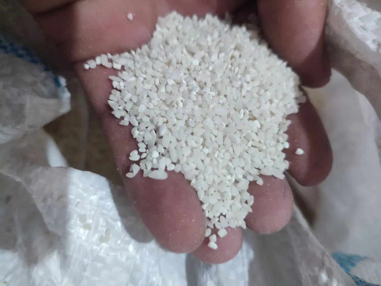 برنچ چنپا|خوردنی و آشامیدنی|باغ ملک, |دیوار