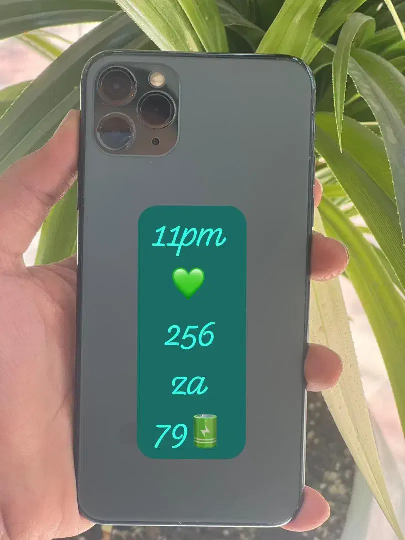 اپل iPhone 11 Pro Max با حافظهٔ ۲۵۶ گیگابایت|موبایل|رفسنجان, |دیوار