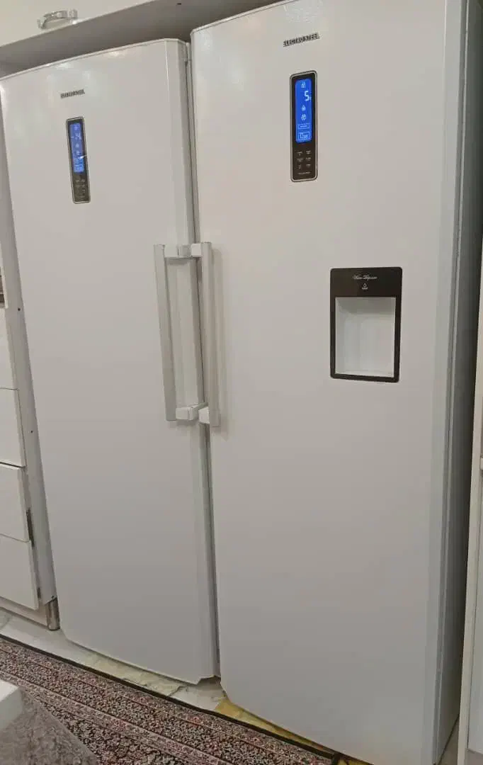 یک عدد یخچال و فریزر دو قلو الکترو استیل|یخچال و فریزر|سیرجان, |دیوار