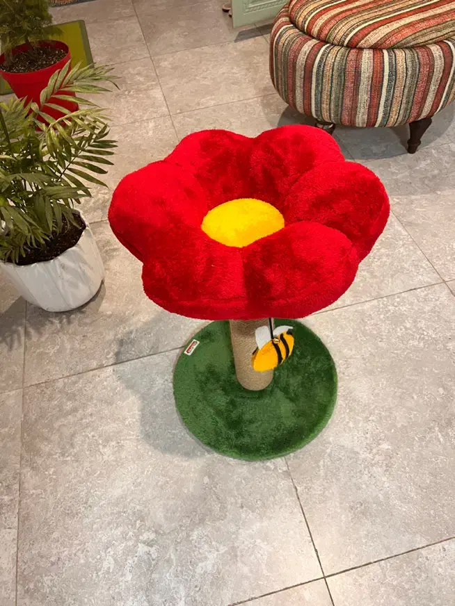 اسکچر گربه|لوازم جانبی حیوانات|تهران, گلستان (شهرک راه آهن)|دیوار