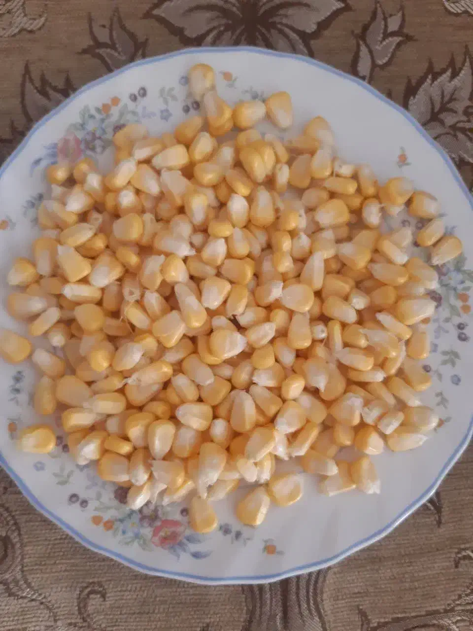 ذرت اعلا|خوردنی و آشامیدنی|قم, باسکول|دیوار