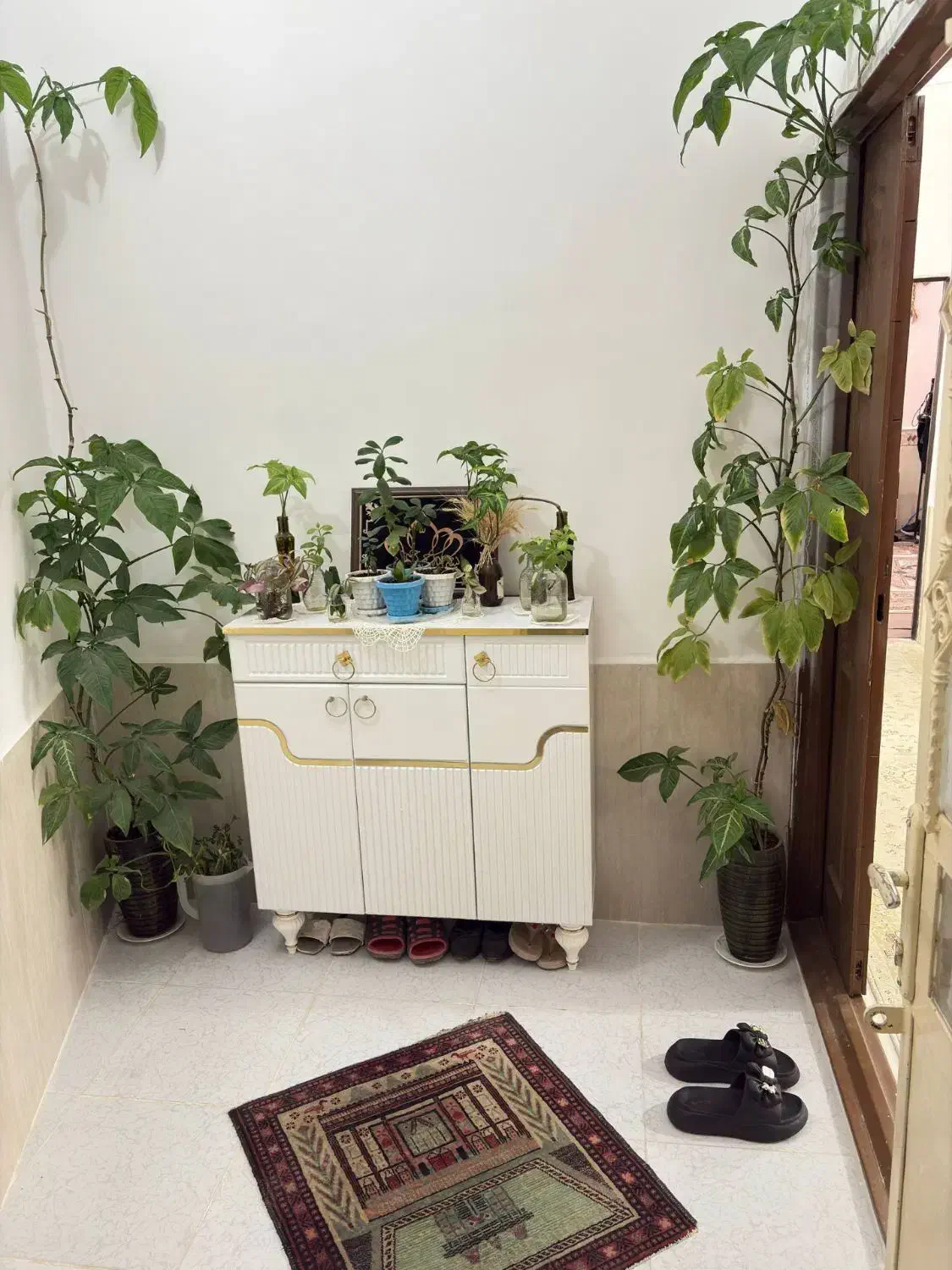 خانه ویلایی فروشی|فروش خانه و ویلا|فریمان, |دیوار