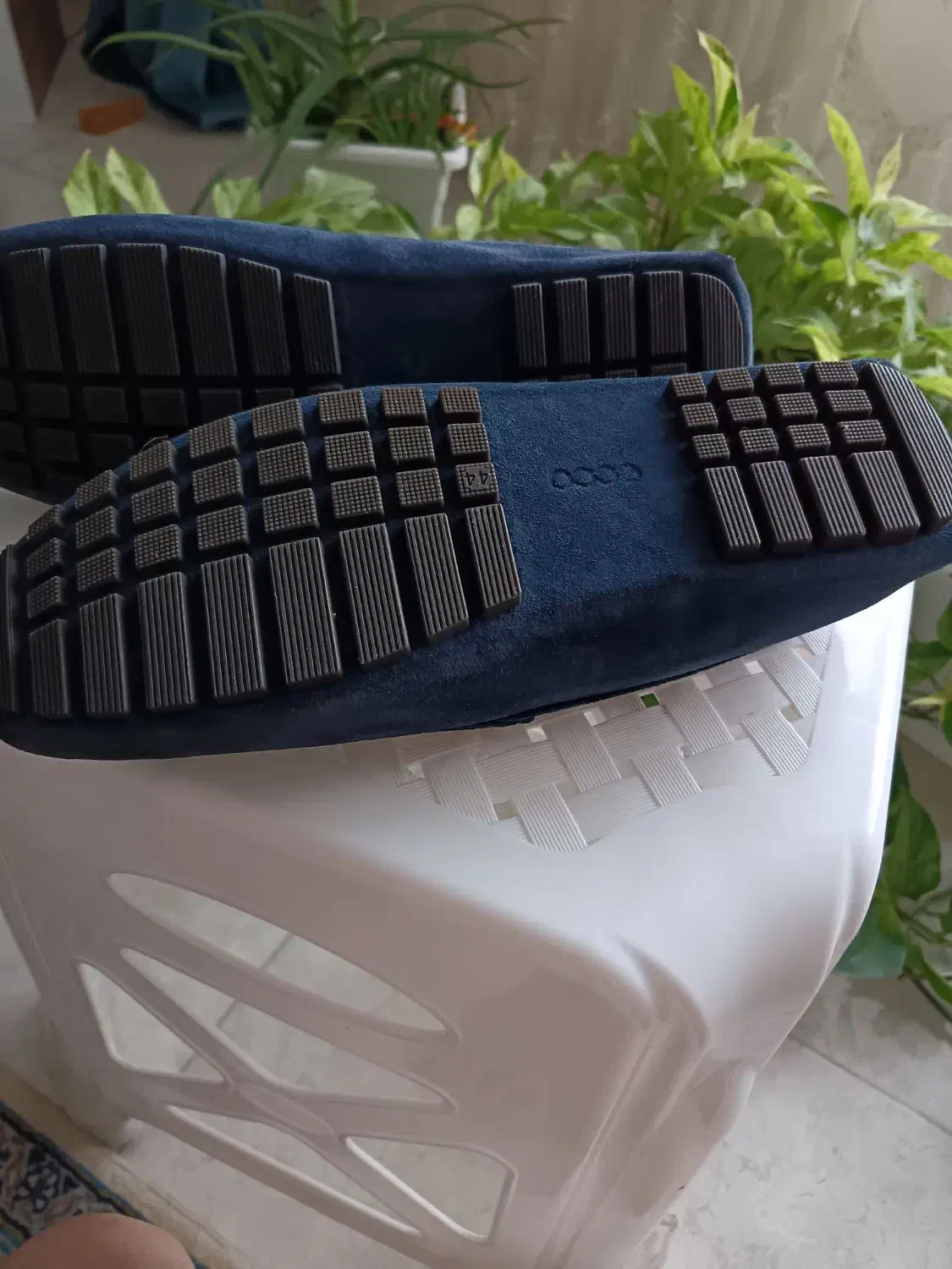 کفش ecco|کیف، کفش، کمربند|نوشهر, |دیوار