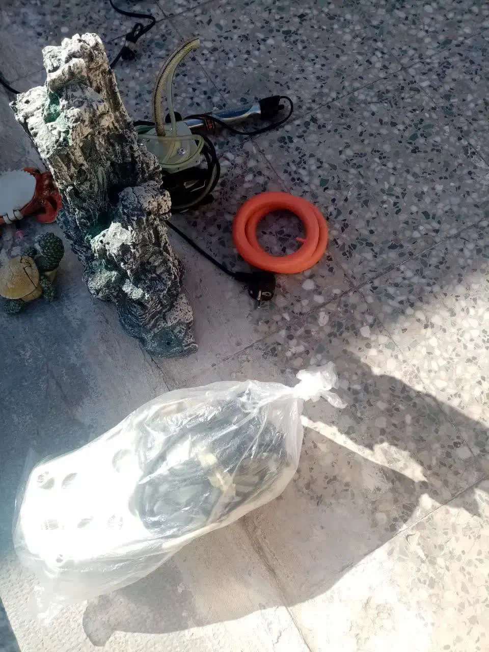 اکواریون|ماهی|رفسنجان, |دیوار