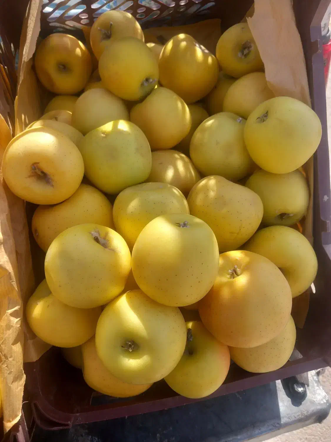 سیب|خوردنی و آشامیدنی|مبارکه, |دیوار