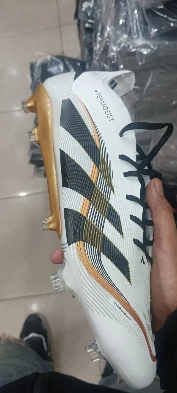 کفش فوتبال پردیتور|کیف، کفش، کمربند|اندیمشک, |دیوار