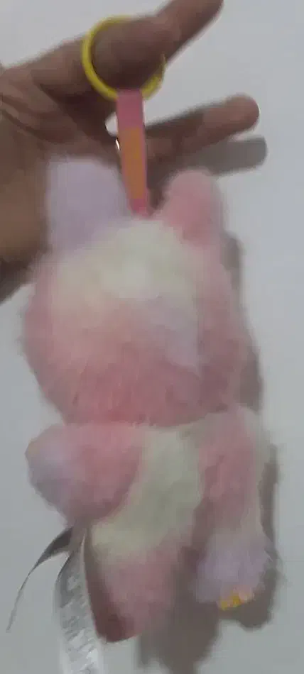 لبوبو|اسباب‌‌بازی|تربت جام, فاز ۳ فرهنگیان|دیوار