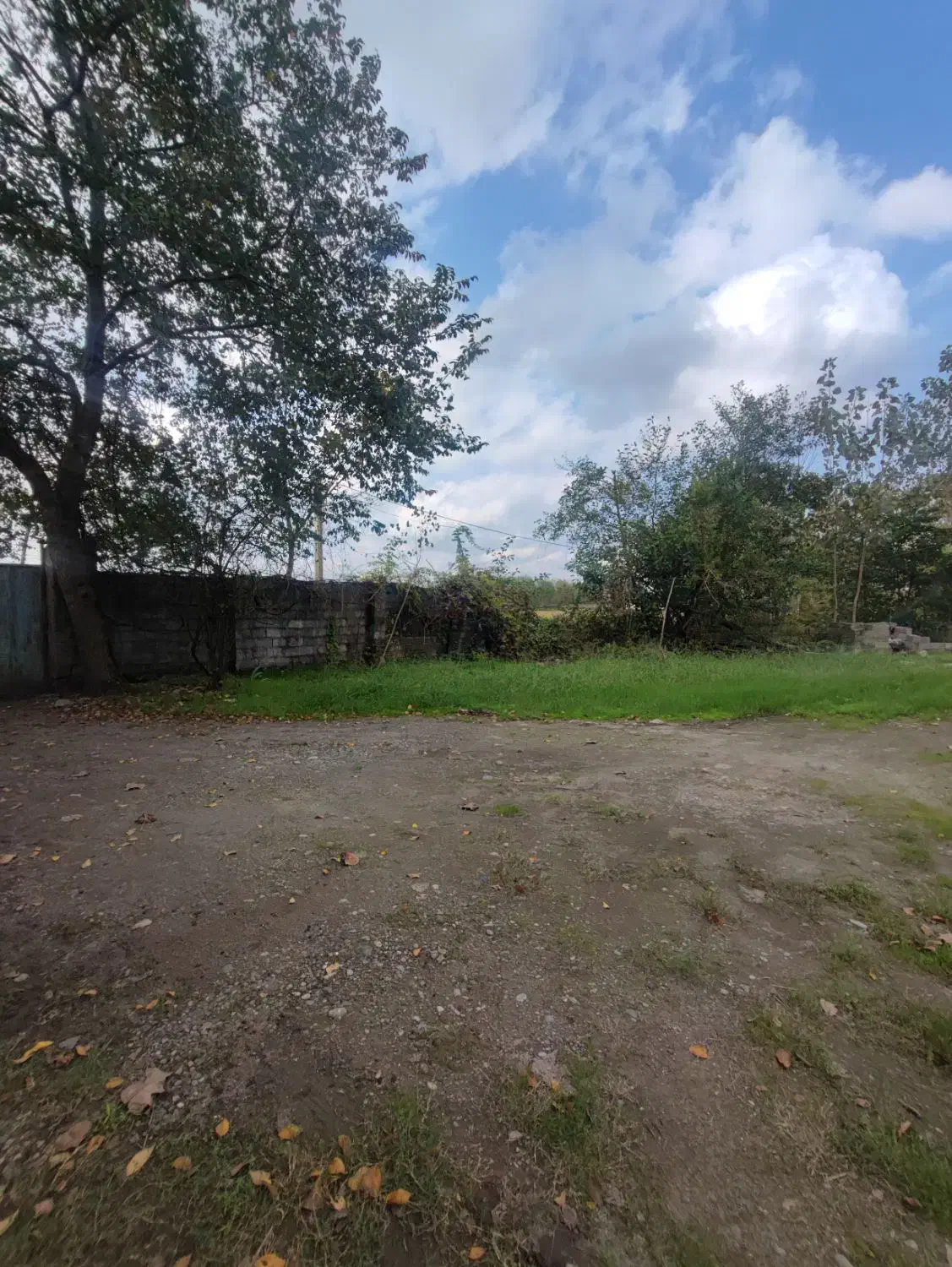 خانه و شالیزار/لب آسفالت چسبیده بهم/حومه خمام|فروش خانه و ویلا|خمام, |دیوار