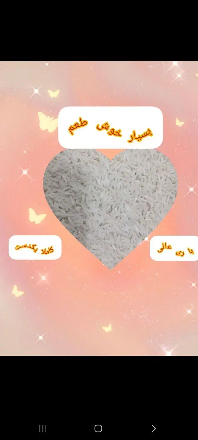 فروش ویژه برنج طارم محلی ، تازه برداشت|خوردنی و آشامیدنی|محمدیه-قزوین, |دیوار