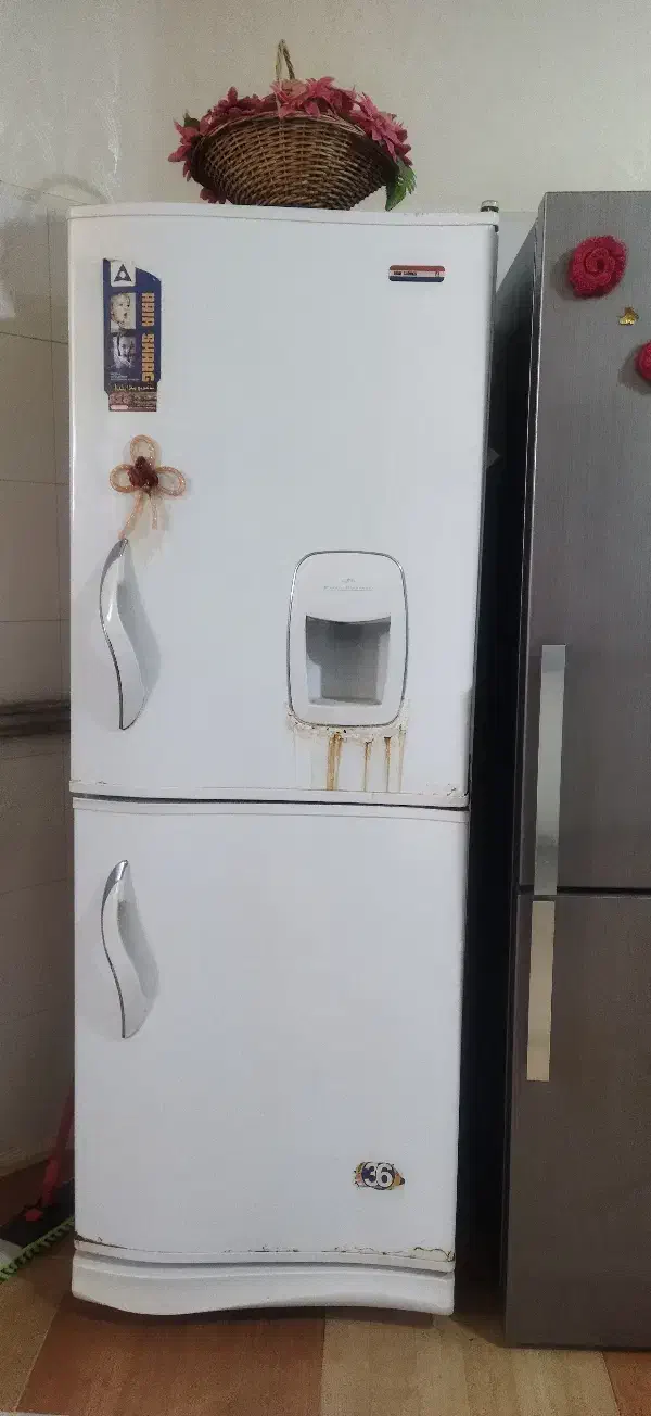 یخچال فریزر|یخچال و فریزر|رفسنجان, |دیوار