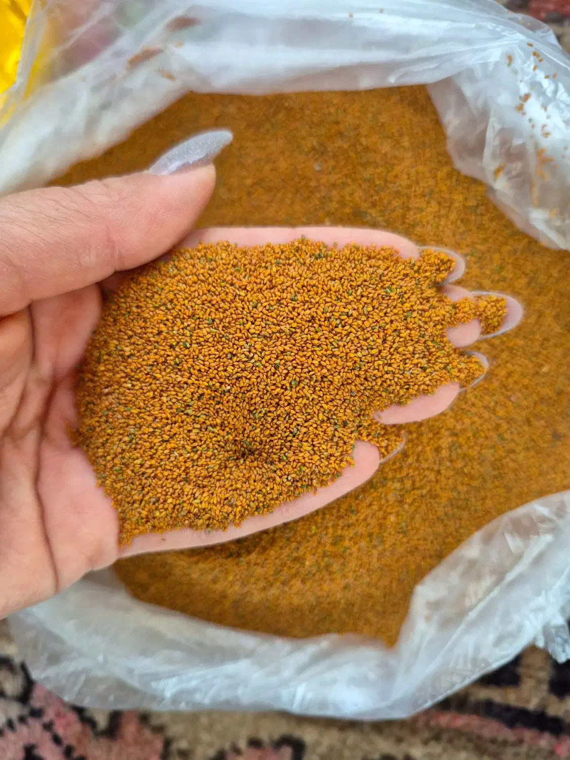 خاک شیر|عمده‌فروشی|شیراز, هفت تنان|دیوار