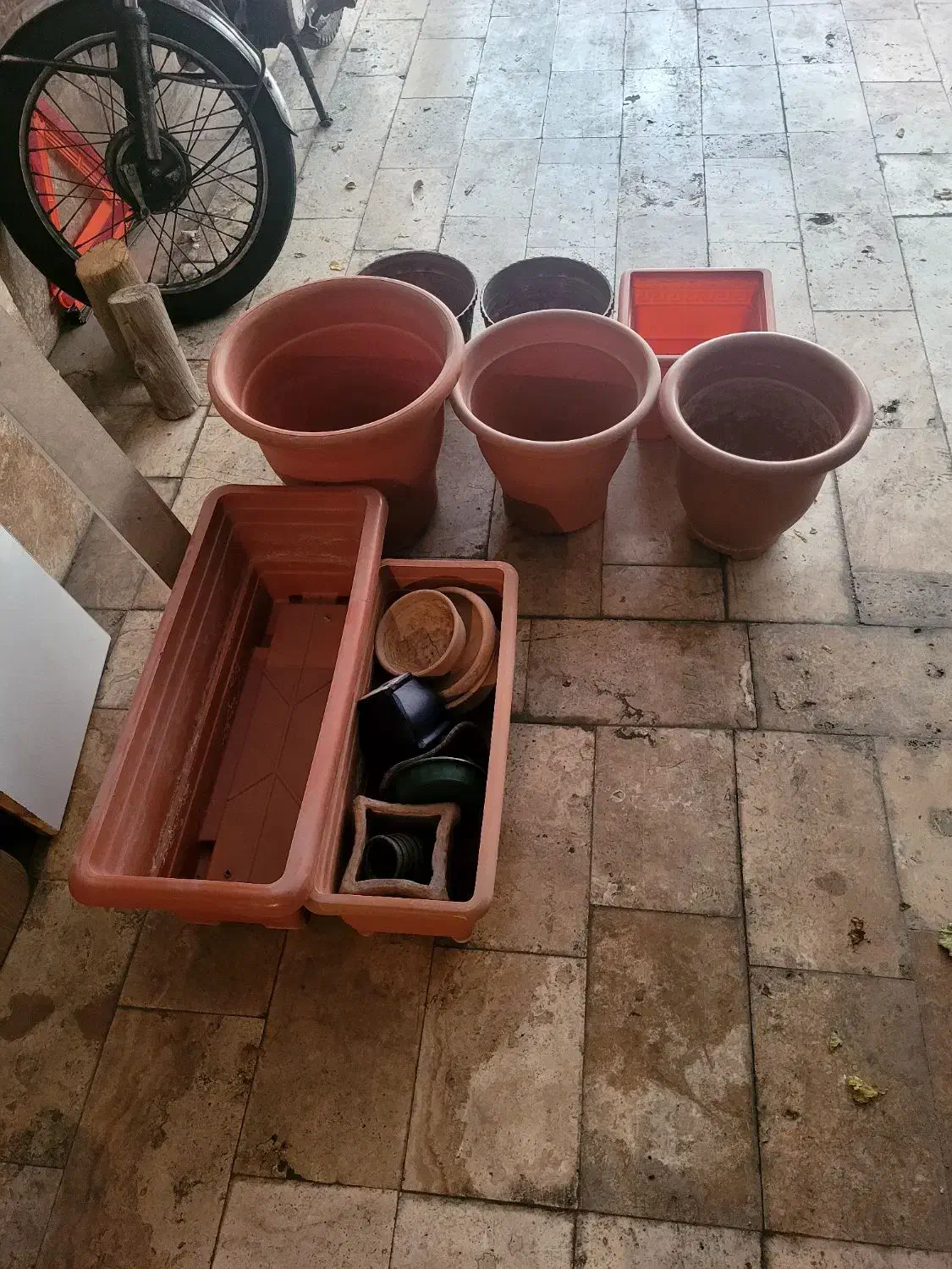 گلدان|گل و گیاه طبیعی|تهران, حر|دیوار