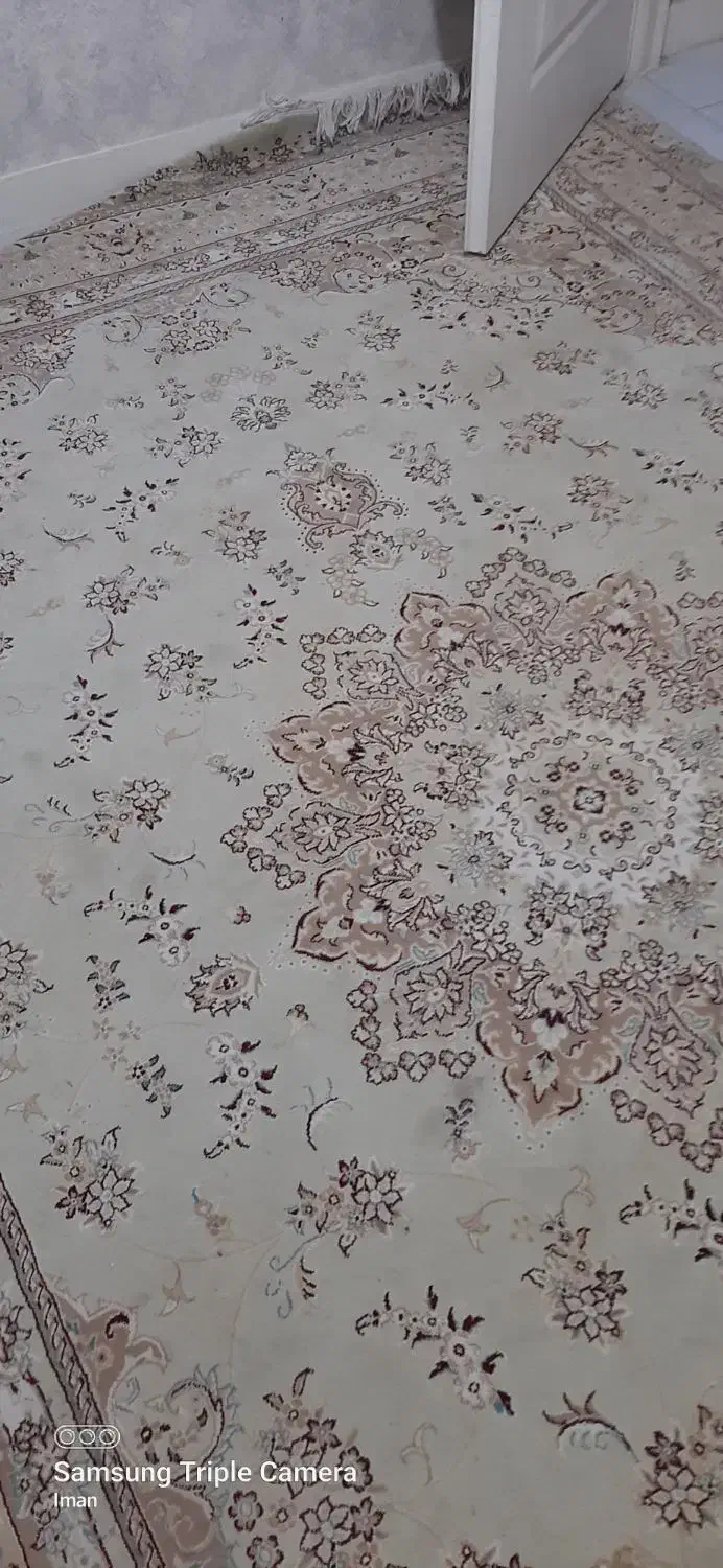 فرش|فرش|اسلام‌شهر, شهرک قائمیه|دیوار