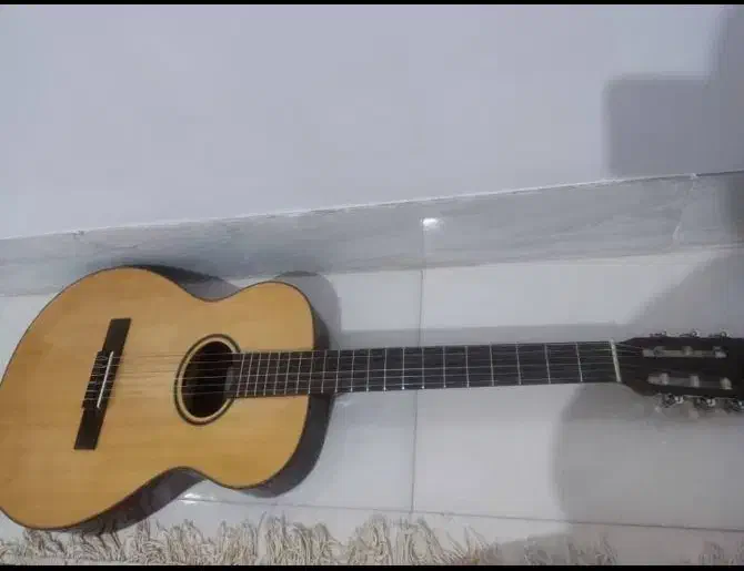 گیتار آنتونیو اپارچیو|گیتار، بیس، امپلیفایر|شیراز, تندگویان|دیوار