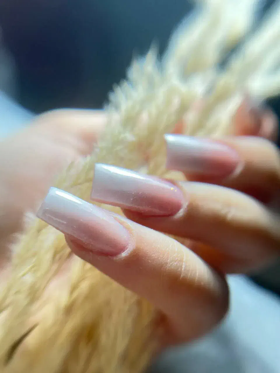 آموزش ناخن با مدرک فنیحرفهای|خدمات آموزشی|مشهد, چهارچشمه|دیوار