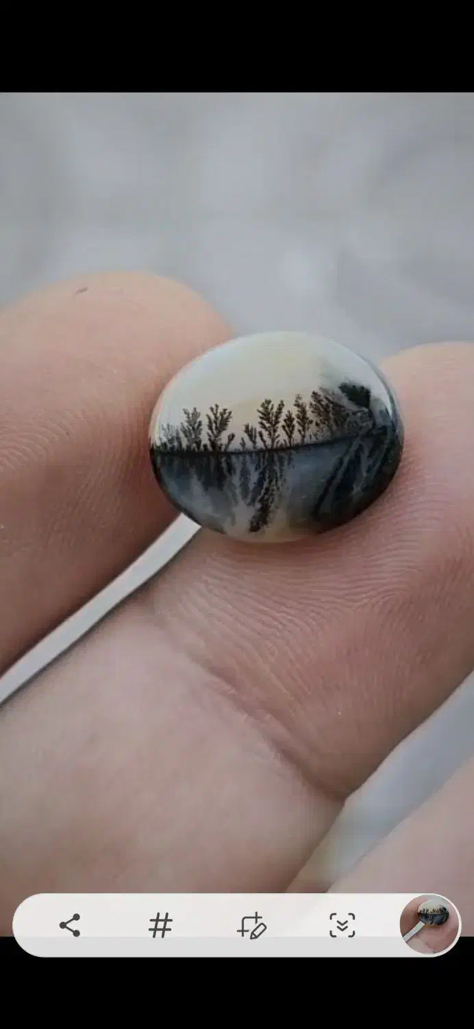 سنگ شجر|جواهرات|اراک, |دیوار