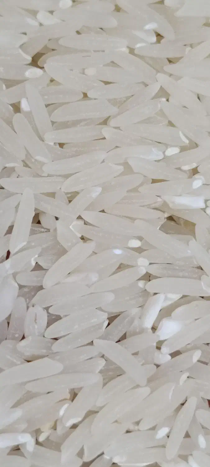 برنج درجه یک فجر طارم|خوردنی و آشامیدنی|گیلان غرب, |دیوار