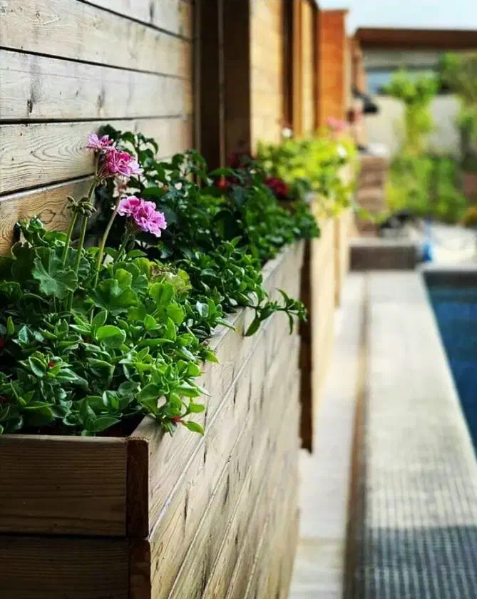 نصب ترموود،نصاب ترموود،چوب روسی کابینت کمد دیواری|خدمات پیشه و مهارت|محمدشهر, محمدشهر|دیوار