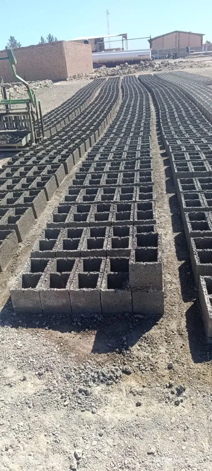 فروشی|پرنده|درمیان, |دیوار