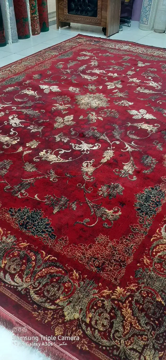 فرش رز|فرش|گرگان, |دیوار