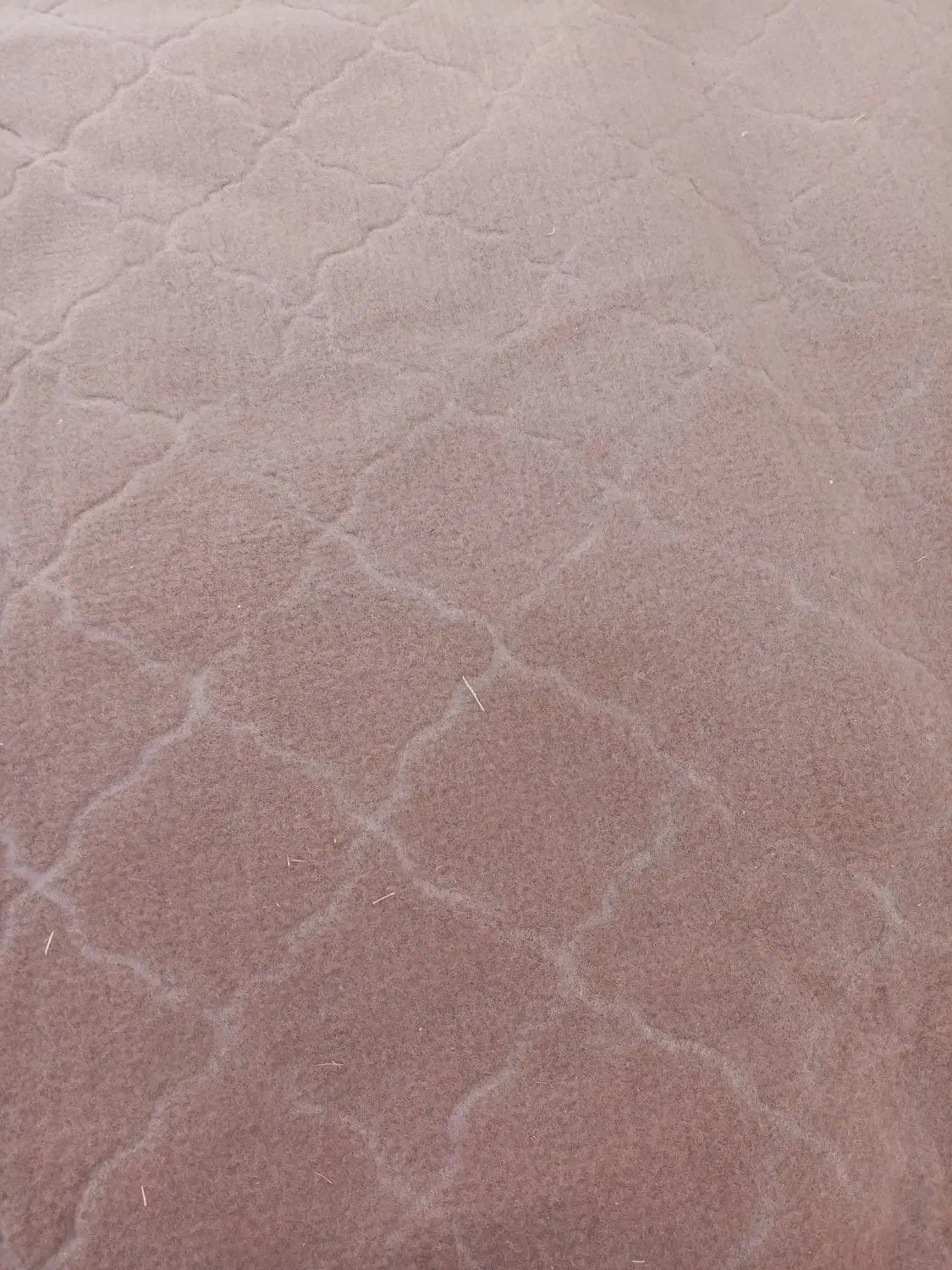 موکت|موکت|سبزوار, باهنر|دیوار