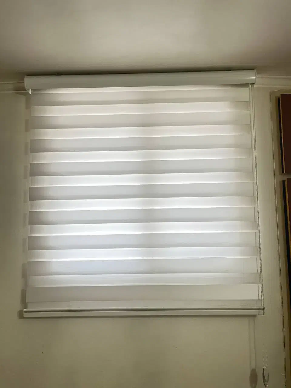 فروش وسایل سالن زیبایی|آرایشگاه و سالن‌های زیبایی|سمنان, |دیوار